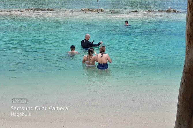 83 Islands Distillery & Sightseeing of Port Vila with Yumi Tours - Aelan Chocolate Factory and community-grown cocoa