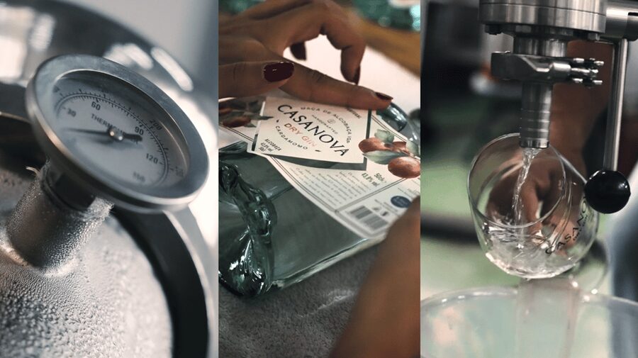 Alcobaça: Visit to the Lemos Figueiredo Winery and Distillery - Casanova gin and the apple bottle to seek out