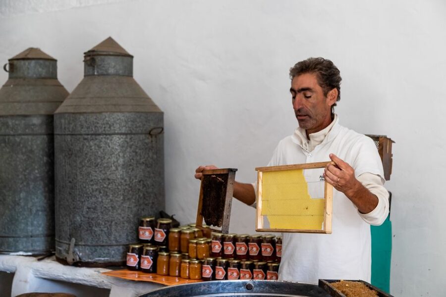 Algarve: Jeep Safari with Distillery Visit & Lunch - Traditional honey production and local samples