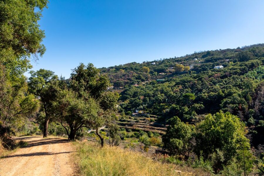Algarve: Jeep Safari with Distillery Visit & Lunch - Lunch at a typical local restaurant
