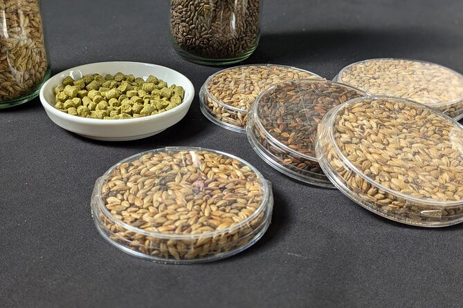 Beer tasting in a Brussels Micro Brewery and Distillery - What you actually taste
