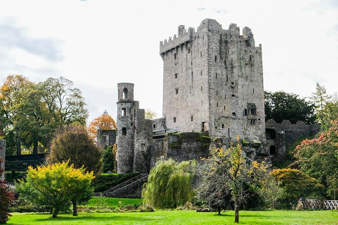Blarney Castle Cork City and Jameson Distillery Small groups - Key points to know before booking