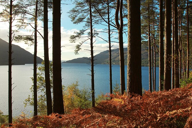Bonnie Lochs & Bold Whisky Small Group Tour from Edinburgh - Two and a half hours in Loch Lomond and The Trossachs