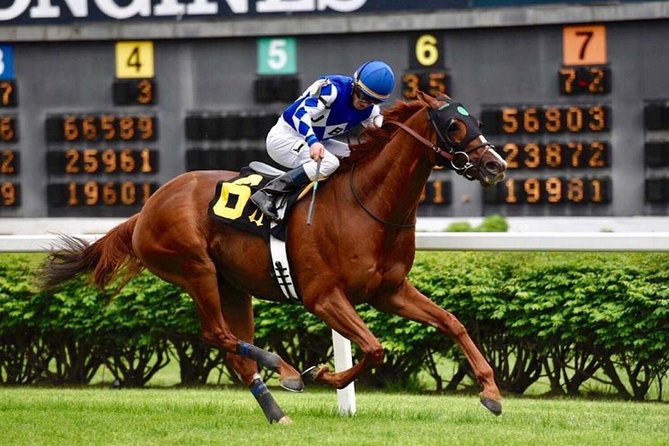 Bourbon & Derby: Makers Mark OR Buffalo trace + Churchill Down - Guides can make or break the outing
