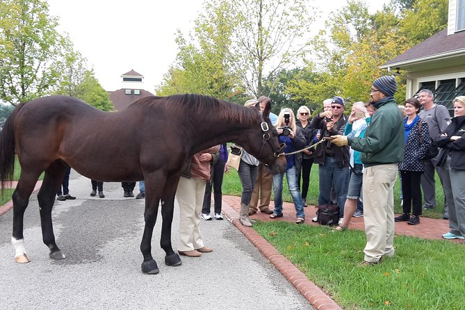 Bourbon Distillery & Horse Farm Tours - Who should book this bourbon and horse country day?