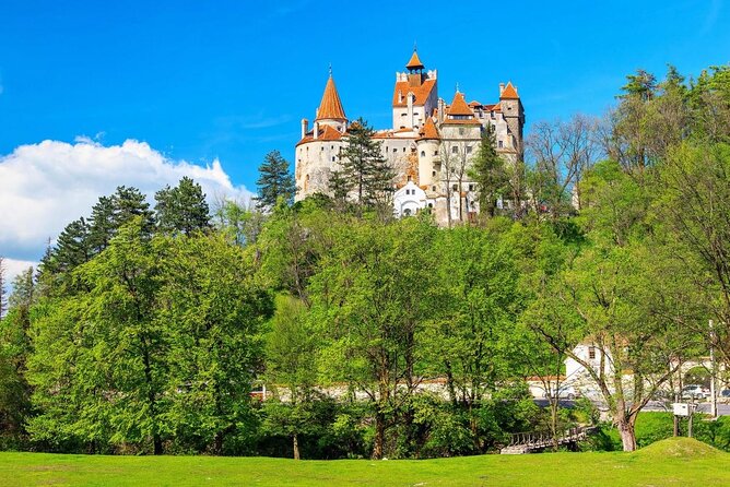 Bran (Dracula) Castle, Bear Sanctuary, Rasnov Fortress & Palinca Distillery - Key points at a glance