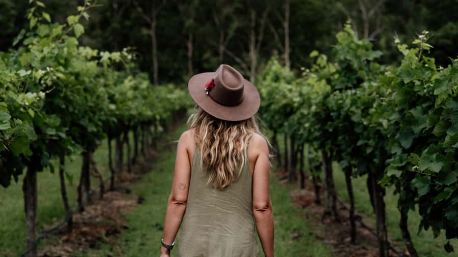 Brisbane: Boutique Winery Tour with Gourmet Lunch - Hampton Estate and the first taste of the region