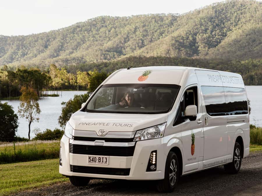 Brisbane: Boutique Winery Tour with Gourmet Lunch - Tamborine Mountain Distillery changes the rhythm