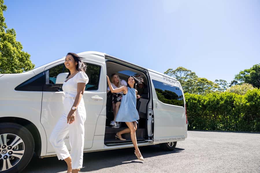 Brisbane: Boutique Winery Tour with Gourmet Lunch - From Brisbane to the mountain