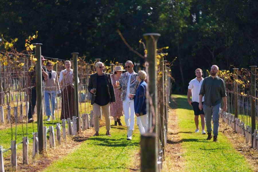 Brisbane: Tamborine Wine & Distillery Tour - Gallery Walk gives you room to choose