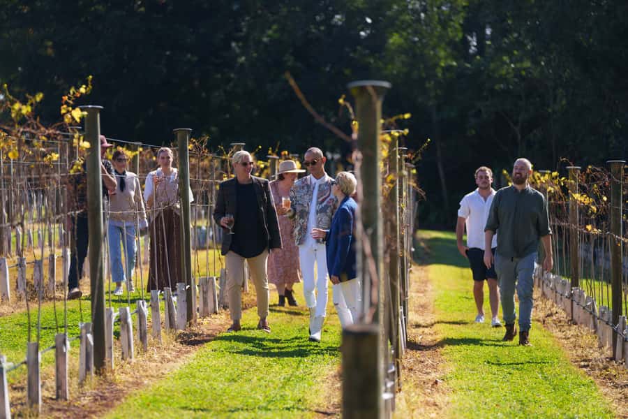 Brisbane: Tamborine Wine & Distillery Tour - Who should book this tour?
