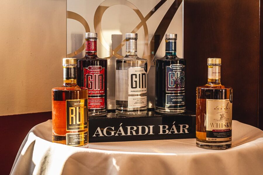 Budapest: Hungarian Whisky, Gin, and Pálinka Tasting - Key points to know before booking