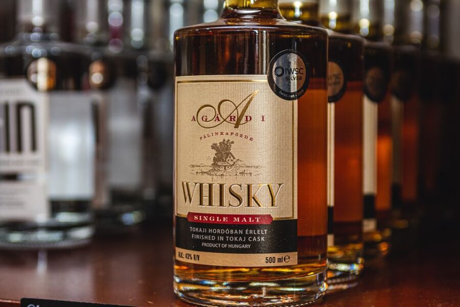 Budapest: Hungarian Whisky, Gin, and Pálinka Tasting - Who should book this experience