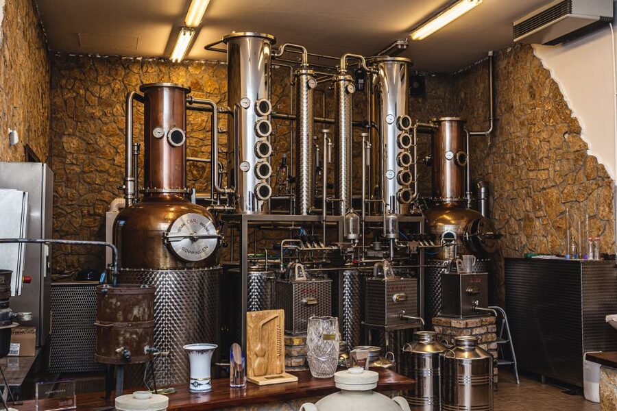 Budapest: Hungarian Whisky, Gin, and Pálinka Tasting - Inside one of Hungary’s oldest distilleries