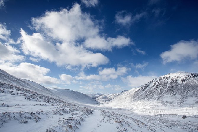Cairngorms & Whisky Day Tour from Inverness Including Admission - The guides can shape the whole day