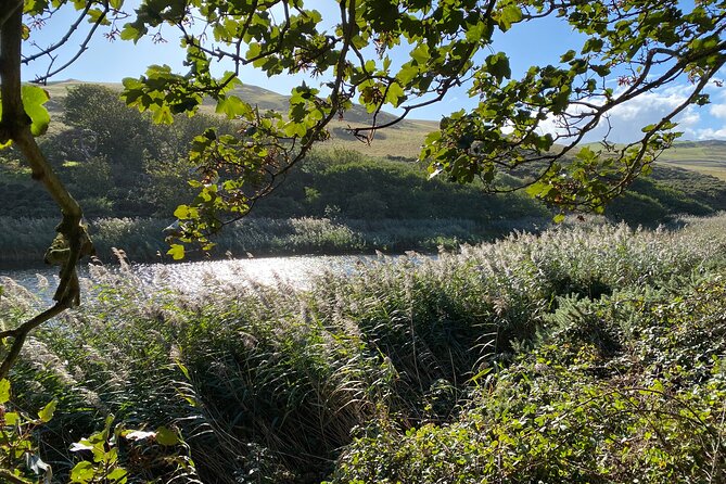 Castles, Coastline and Whisky Tasting Tour with Admission - The 8:30 a.m. start and full-day rhythm