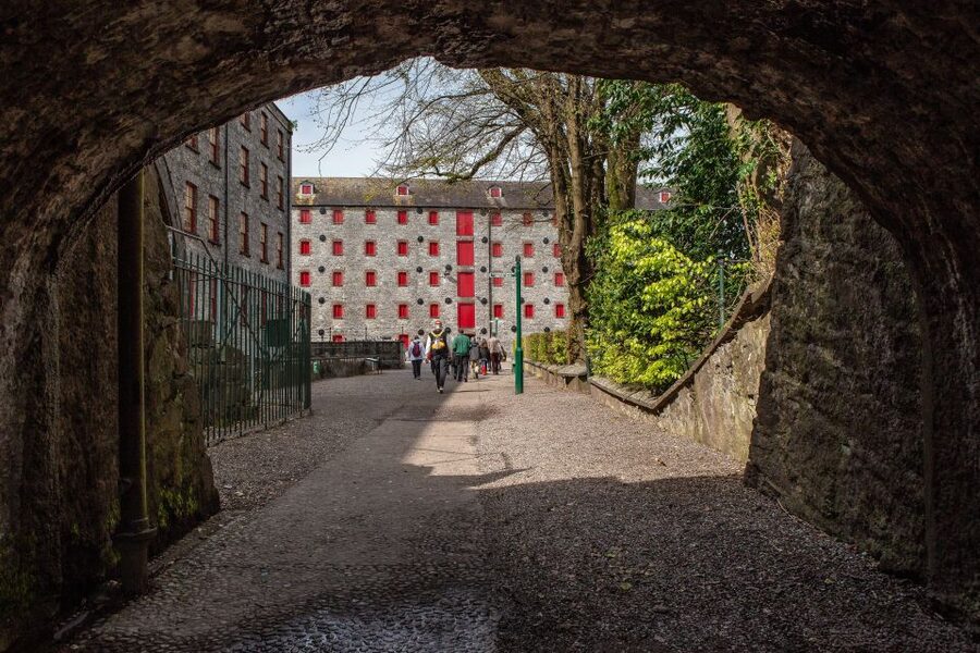 Cork: Jameson Irish Whiskey & Midleton Distillery Experience - The warehouse and the Angels Share