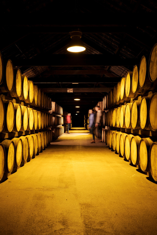 Cork: Midleton Distillery Behind the Scenes Tour & Tasting - The Maturation Warehouse is a sensory stop