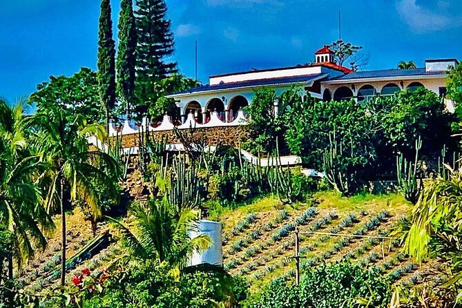 Cultural tour, city fields and distillery - Value Without a Listed Price