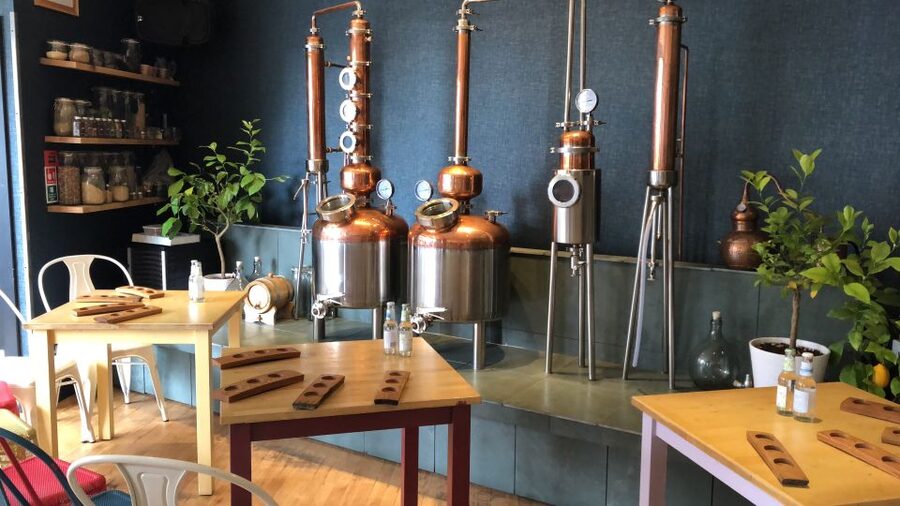 Distillery Masterclass - 8 Scottish gins paired with cheeses - Starting at Scotland’s oldest gin bar