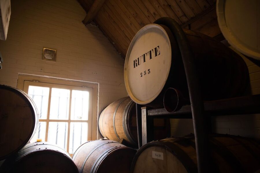 Dordrecht: Distillery Tour with Dutch Gin & Genever Tasting - Practical details that affect your visit