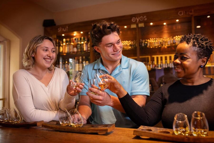 Dublin: Irish Whiskey Museum Tour and Whiskey Tasting - From national success to a painful fall
