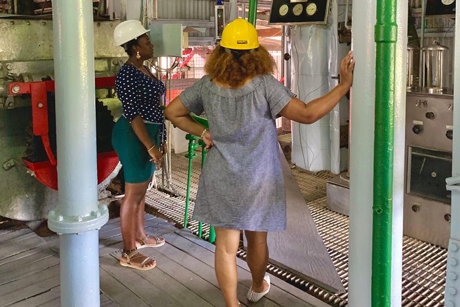 Eastern Tours/ Mt. Carmel Falls / Laura Spice Tour / Clarke's Court Distillery - Three Grenada experiences in one morning