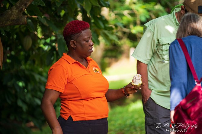 Eastern Tours/ Mt. Carmel Falls / Laura Spice Tour / Clarke's Court Distillery - Clarke’s Court and the taste of Grenadian rum