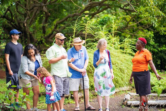 Eastern Tours/ Mt. Carmel Falls / Laura Spice Tour / Clarke's Court Distillery - What the guides add to the day