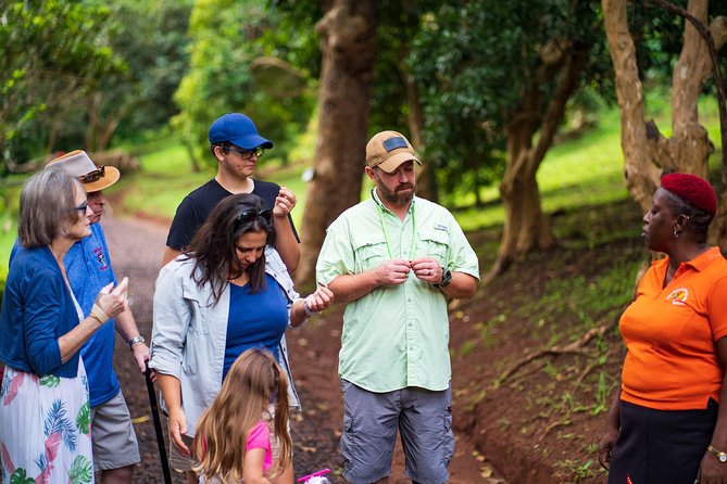 Eastern Tours/ Mt. Carmel Falls / Laura Spice Tour / Clarke's Court Distillery - Who will get the most from this tour