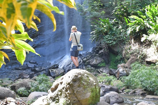 Eastern Tours/ Mt. Carmel Falls / Laura Spice Tour / Clarke's Court Distillery - The walk to Royal Mount Carmel Falls