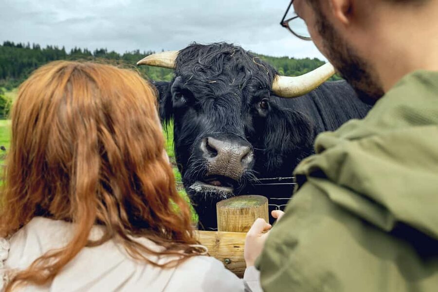 Edinburgh to Scottish Highlands: Whisky, Views & Hairy Coos - Seeing the Kelpies and Stirling from the road