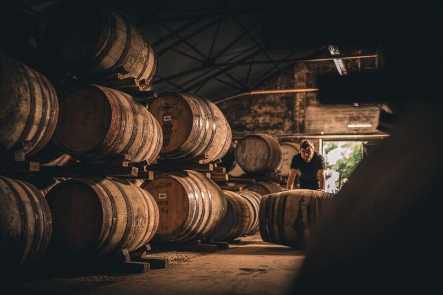 Edinburgh: Ultimate Whisky Experience - Who should book this day trip?