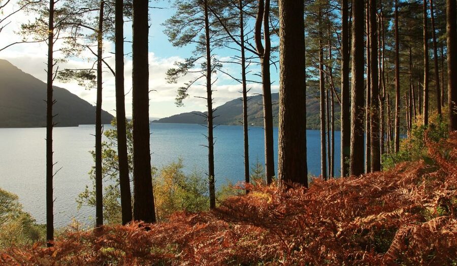 From Glasgow: Whisky and Loch Lomond Tour with Admissions - The Guides Make a Real Difference