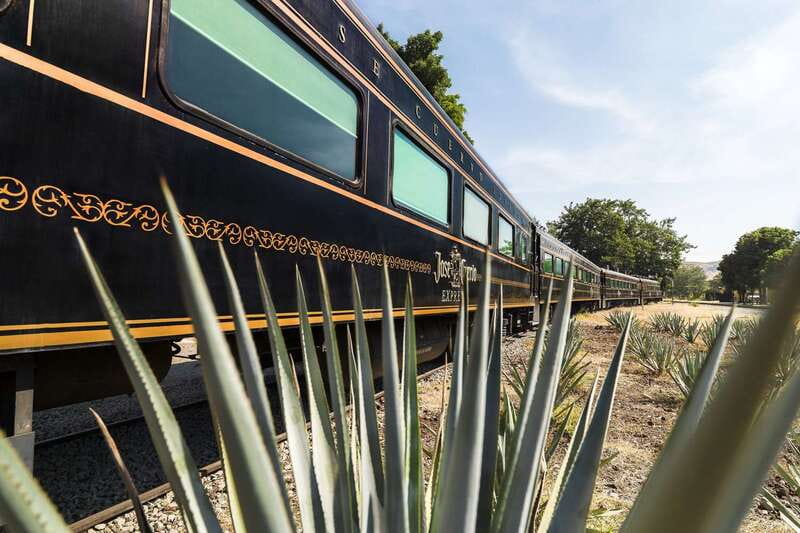 From Guadalajara: La Rojeña Distillery & Jose Cuervo Train - Key points to know before booking