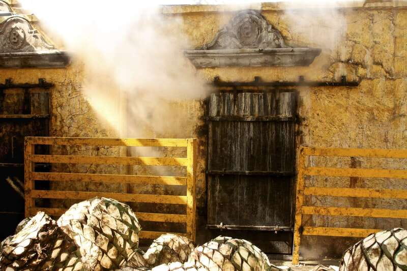 From Guadalajara: La Rojeña Distillery & Jose Cuervo Train - What the $215 price really covers