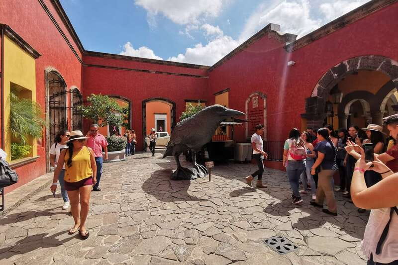 From Guadalajara: La Rojeña Distillery & Jose Cuervo Train - Seeing how a jimador harvests agave