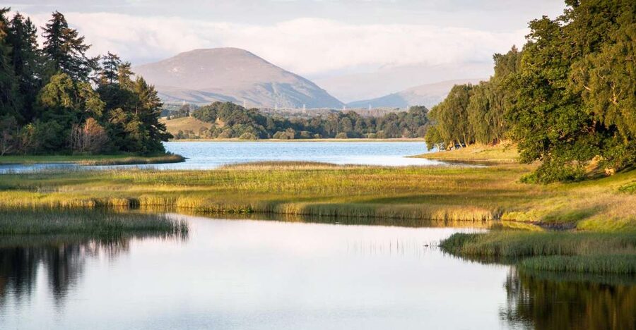 From Inverness: Cairngorms National Park and Whisky Tour - Dava Moor and the first views of the Cairngorms