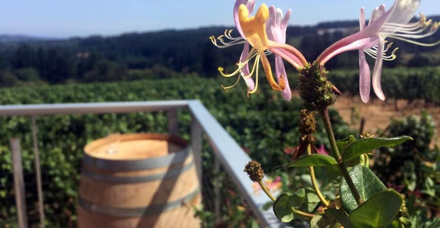 From Portland: Willamette Valley Wine & Whisky - Vineyards, boutique producers, and changing scenery