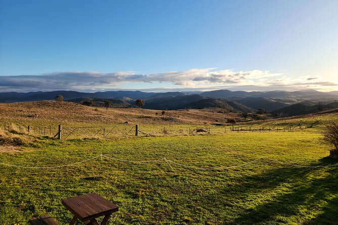 Full-Day Canberra Brewery, Wineries & Distillery tour /w lunch - Ambrosia Distillery shifts the focus to spirits