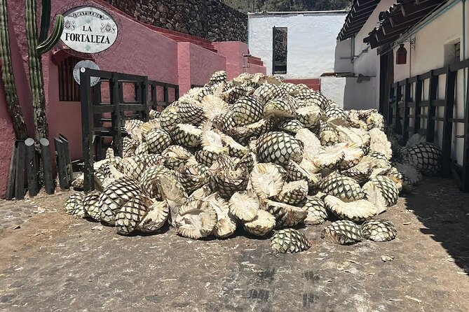 Full-Day Tour to La Fortaleza Distillery and Cantaritos - Key points at a glance