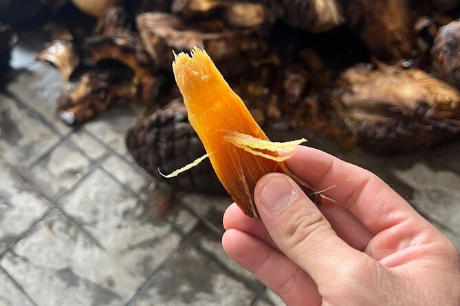 Full-Day Tour to La Fortaleza Distillery and Cantaritos - Tequila town: time beyond the distillery