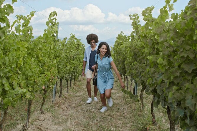 Full-Day Wine, Whiskey & Beer Tour w/ Lunch Pairing - Five tasting stops instead of one long winery visit