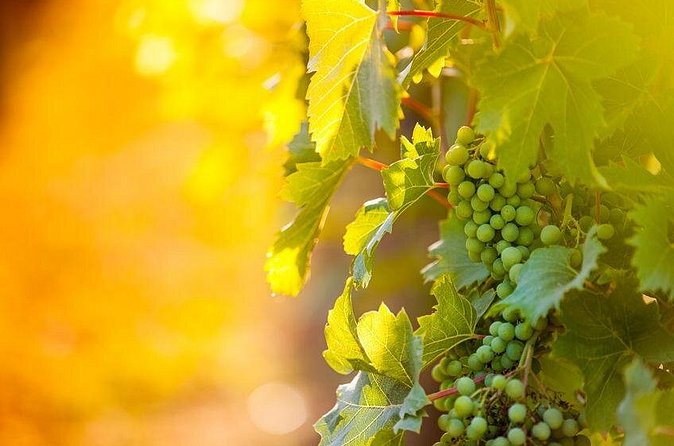 Full-Day Wine, Whiskey & Beer Tour w/ Lunch Pairing - Booking advice and cancellation terms