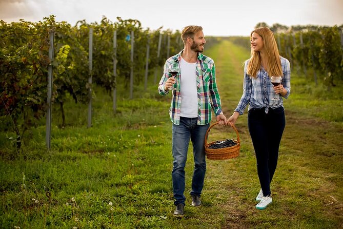 Full-Day Wine, Whiskey & Beer Tour w/ Lunch Pairing - The picnic board gives the tastings some structure