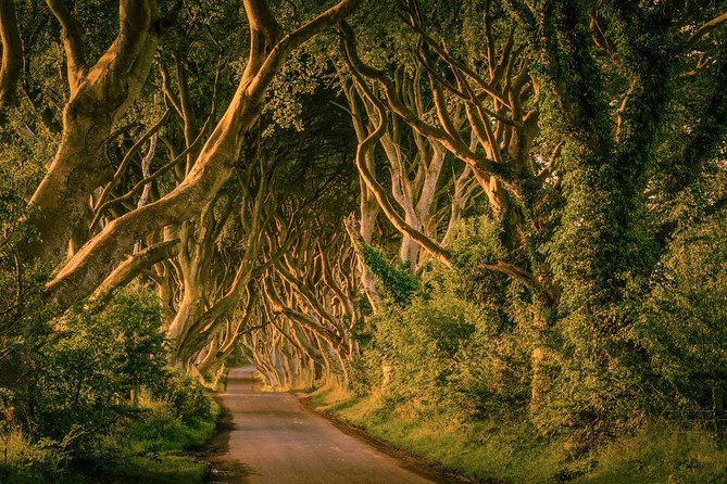 Giant Causeway, Dark Hedges & Whiskey Distillery tour from Dublin - Why the 6:45 a.m. start matters