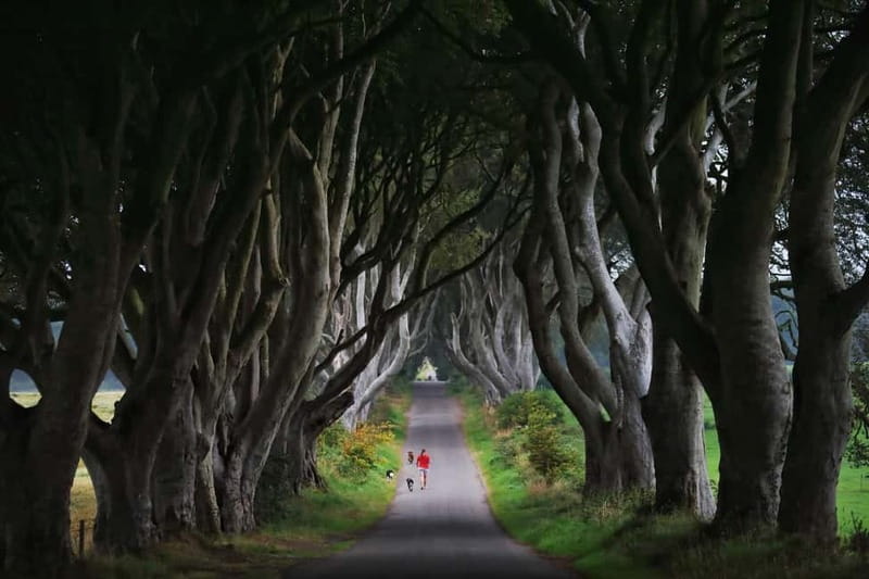 Giants causeway Irish castles & whiskey, Game of thrones - Carrick-a-Rede supplies the brief Atlantic viewpoint