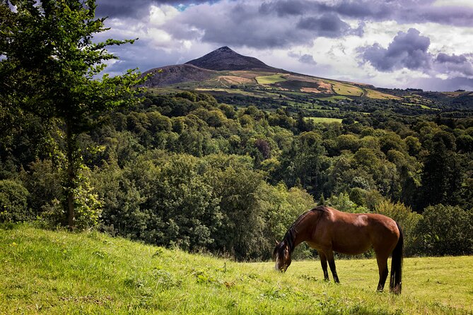 Glendalough and Powerscourt Distillery Ireland Whiskey Tour - Practical details before you book