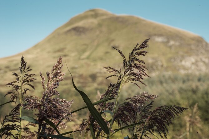 Glengoyne Distillery Tour with Whisky and Chocolate Tasting - Who will enjoy this visit most