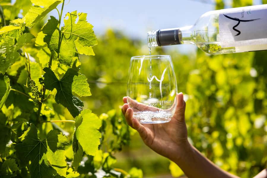 Gold Coast: Premium Wine Tour with Gourmet Lunch - What the guides add to the day